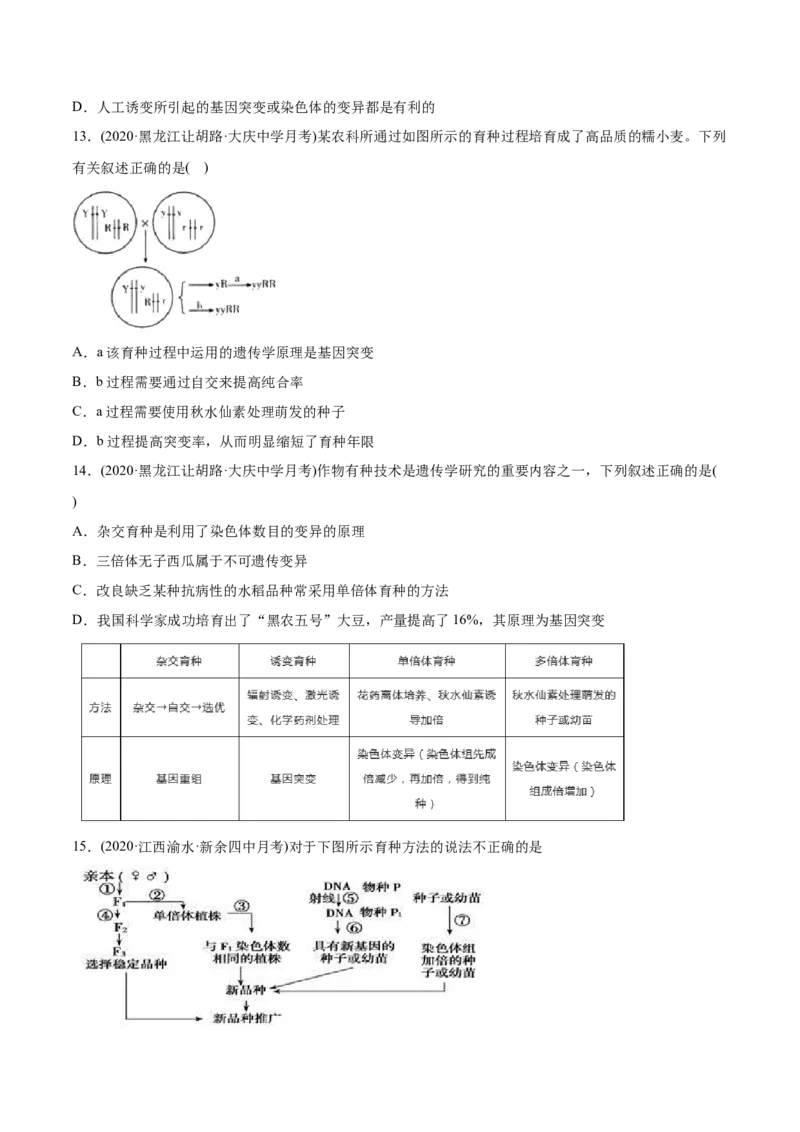 专题10变异、育种与进化-2021年高考生物真题与模拟题分类训练（学生版）_新高考复习资料_2023年新高考复习资料_一轮复习_2023年新高考大一轮复习讲义