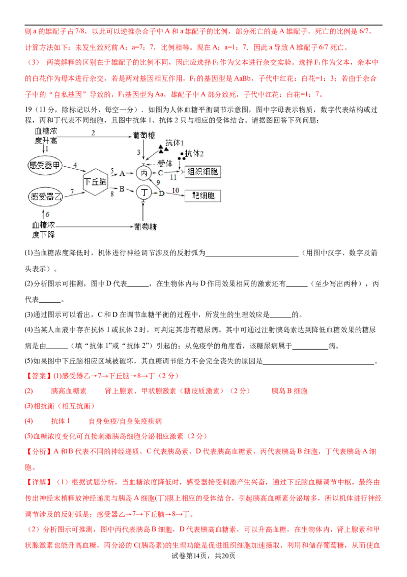 黄金卷05（解析版）_2024年新高考资料_4.2024高考模拟预测试卷_赢在高考&middot;黄金8卷备战2024年高考生物模拟卷（湖南专用）31263208