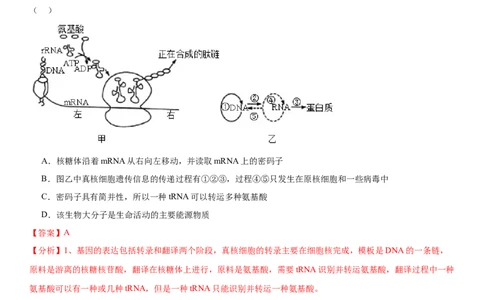 黄金卷05（解析版）_2024年新高考资料_4.2024高考模拟预测试卷_赢在高考&middot;黄金8卷备战2024年高考生物模拟卷（湖南专用）31263208