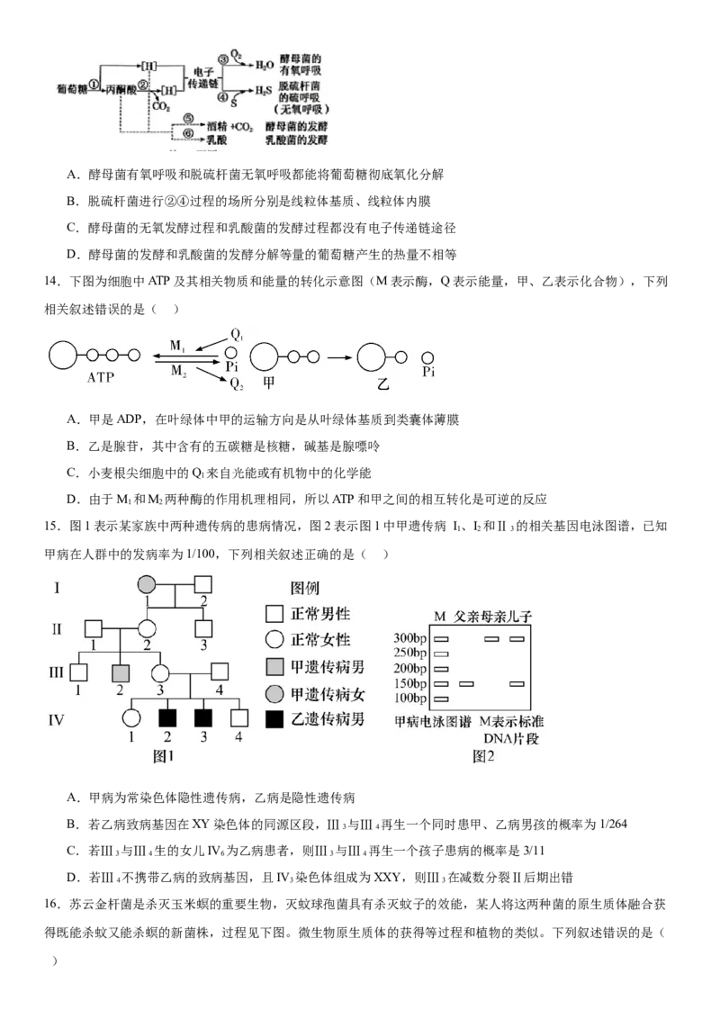 黄金卷07（原卷版）_2024年新高考资料_4.2024高考模拟预测试卷_赢在高考&middot;黄金8卷备战2024年高考生物模拟卷（湖南专用）31263208