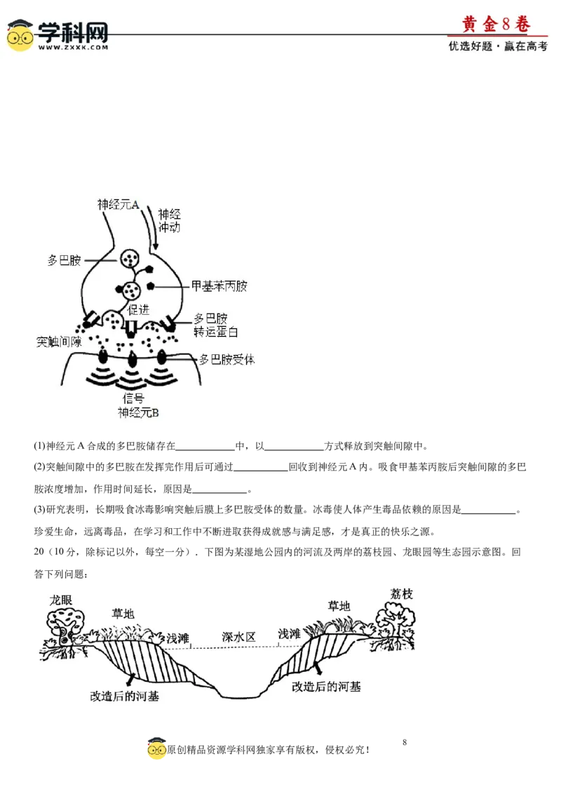 黄金卷07（原卷版）_2024年新高考资料_4.2024高考模拟预测试卷_赢在高考&middot;黄金8卷备战2024年高考生物模拟卷（湖南专用）31263208