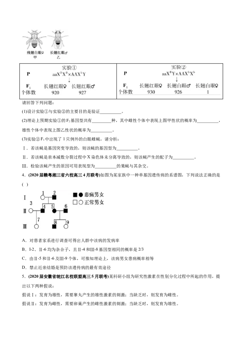 专题10伴性遗传和人类遗传病-2020年高考真题和模拟题生物分项汇编（学生版）_新高考复习资料_2022年新高考复习资料_2022年一轮复习最新版_1.2022年高考生物一轮复习全国通用版