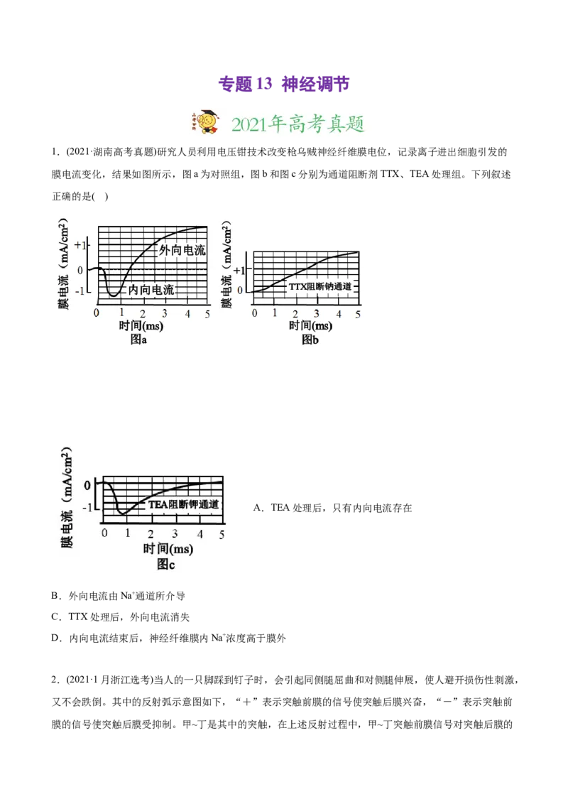 专题13神经调节-2021年高考生物真题与模拟题分类训练（学生版）_新高考复习资料_2023年新高考复习资料_一轮复习_2023年新高考大一轮复习讲义_赠2021年高考生物真题与模拟题分类训练