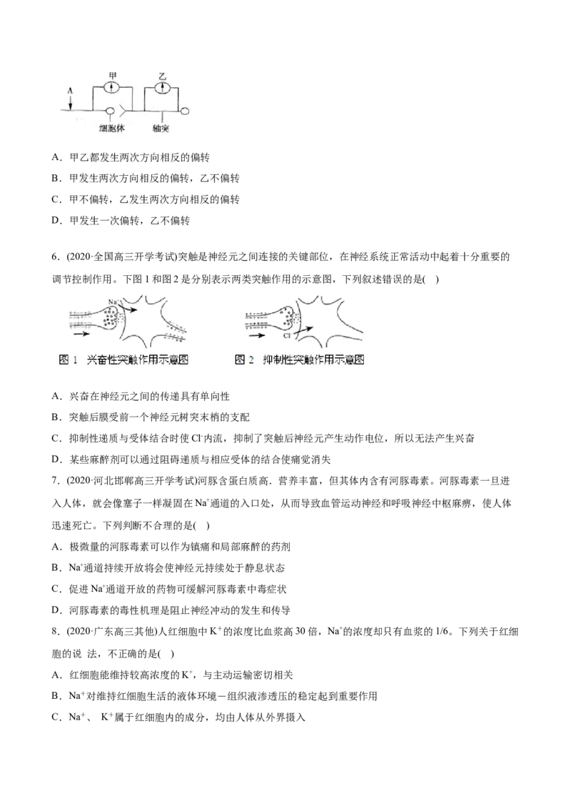 专题13神经调节-2021年高考生物真题与模拟题分类训练（学生版）_新高考复习资料_2023年新高考复习资料_一轮复习_2023年新高考大一轮复习讲义_赠2021年高考生物真题与模拟题分类训练