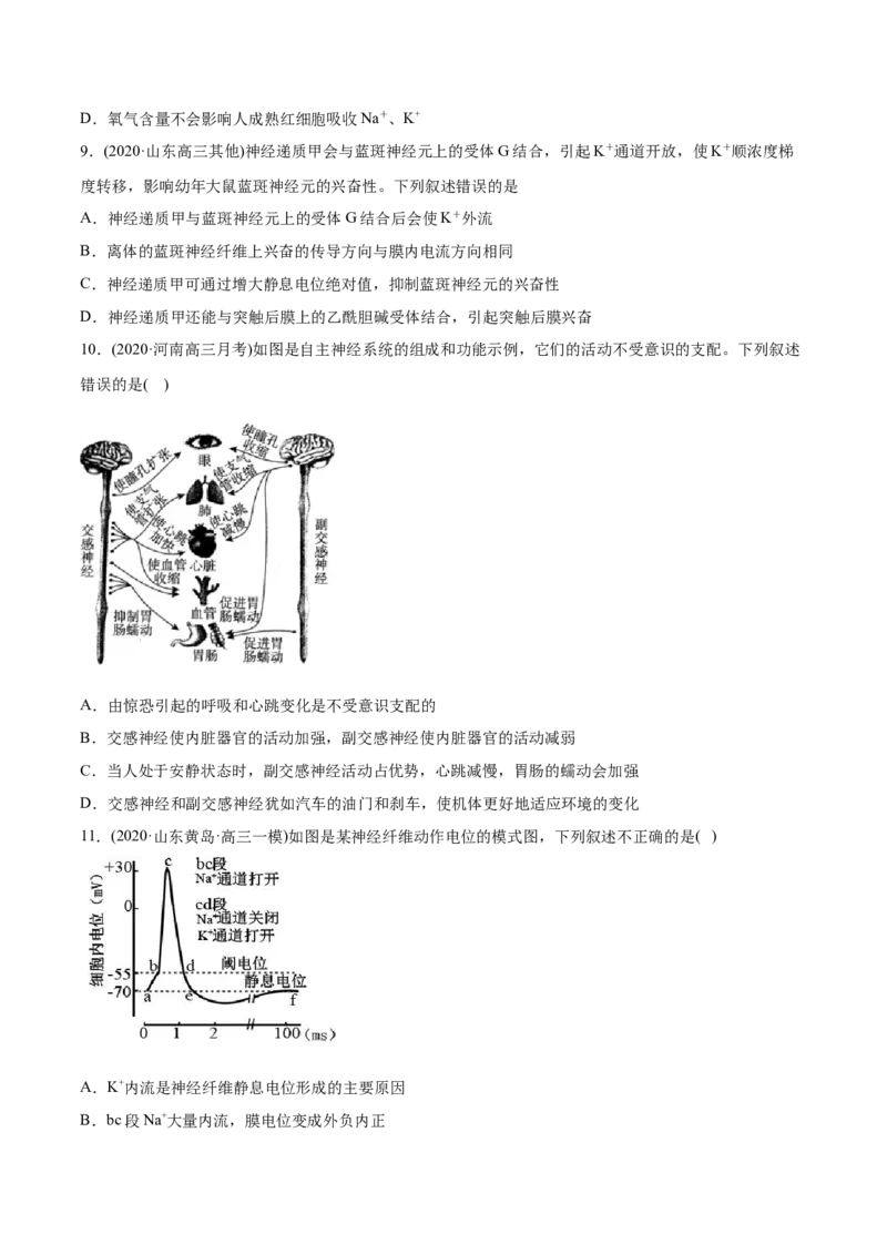 专题13神经调节-2021年高考生物真题与模拟题分类训练（学生版）_新高考复习资料_2023年新高考复习资料_一轮复习_2023年新高考大一轮复习讲义_赠2021年高考生物真题与模拟题分类训练