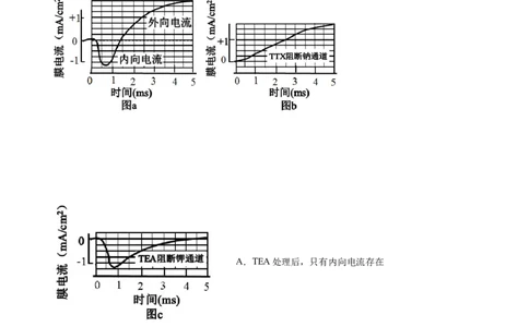 专题13神经调节-2021年高考生物真题与模拟题分类训练（学生版）_新高考复习资料_2023年新高考复习资料_一轮复习_2023年新高考大一轮复习讲义_赠2021年高考生物真题与模拟题分类训练