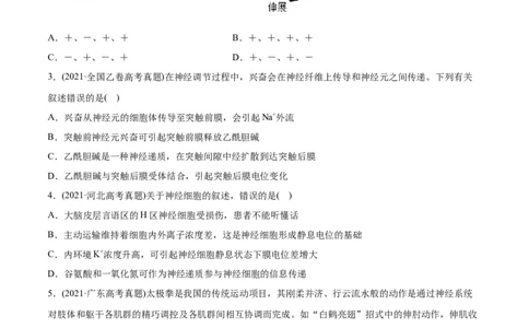 专题13神经调节-2021年高考生物真题与模拟题分类训练（学生版）_新高考复习资料_2023年新高考复习资料_一轮复习_2023年新高考大一轮复习讲义_赠2021年高考生物真题与模拟题分类训练