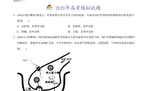 专题13神经调节-2021年高考生物真题与模拟题分类训练（学生版）_新高考复习资料_2023年新高考复习资料_一轮复习_2023年新高考大一轮复习讲义_赠2021年高考生物真题与模拟题分类训练