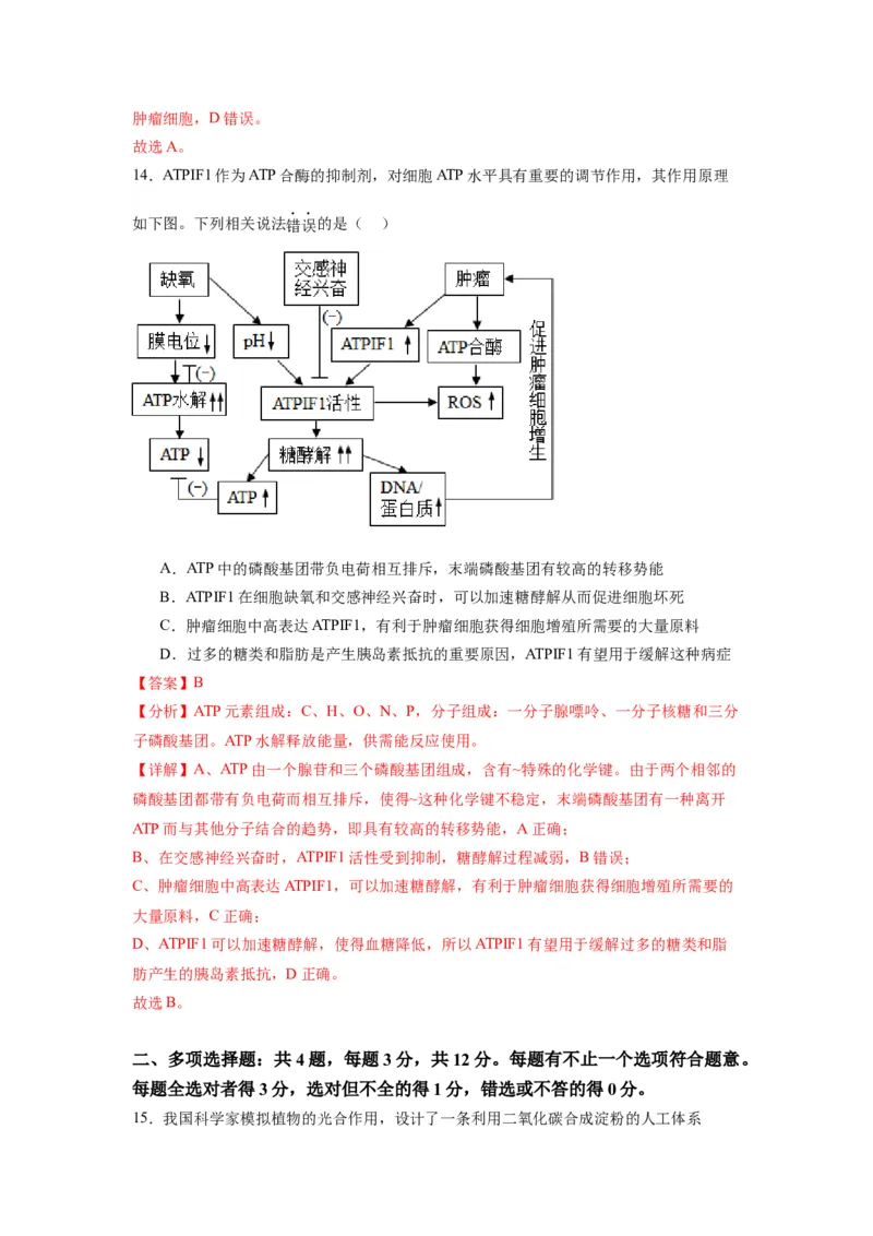 黄金卷03（解析版）-赢在高考&middot;黄金8卷备战2024年高考生物模拟卷（江苏专用）_2024年新高考资料_4.2024高考模拟预测试卷