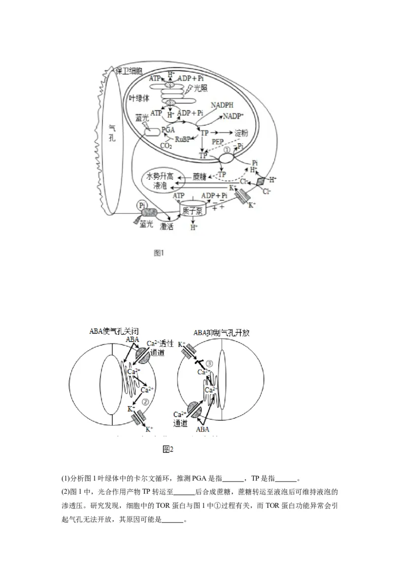 黄金卷03（解析版）-赢在高考&middot;黄金8卷备战2024年高考生物模拟卷（江苏专用）_2024年新高考资料_4.2024高考模拟预测试卷
