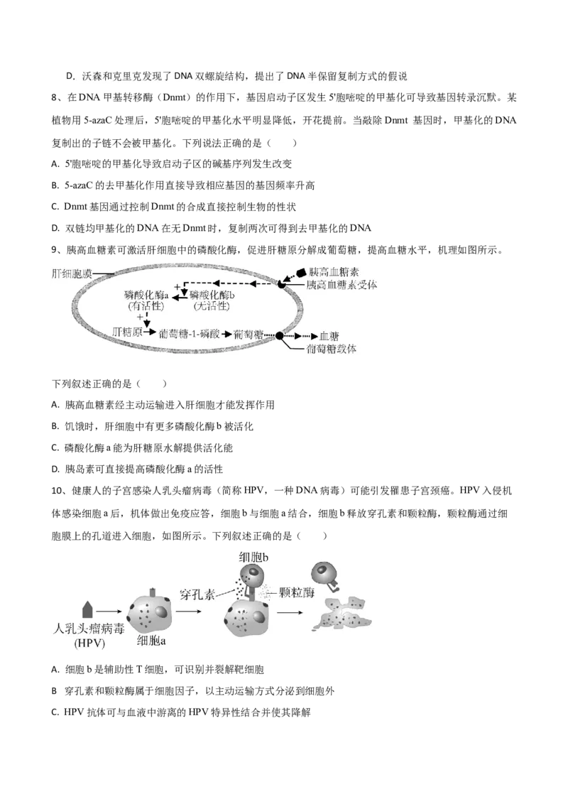 黄金卷07（考试版）-赢在高考&middot;黄金8卷备战2024年高考生物模拟卷（河北专用）_2024年新高考资料_4.2024高考模拟预测试卷