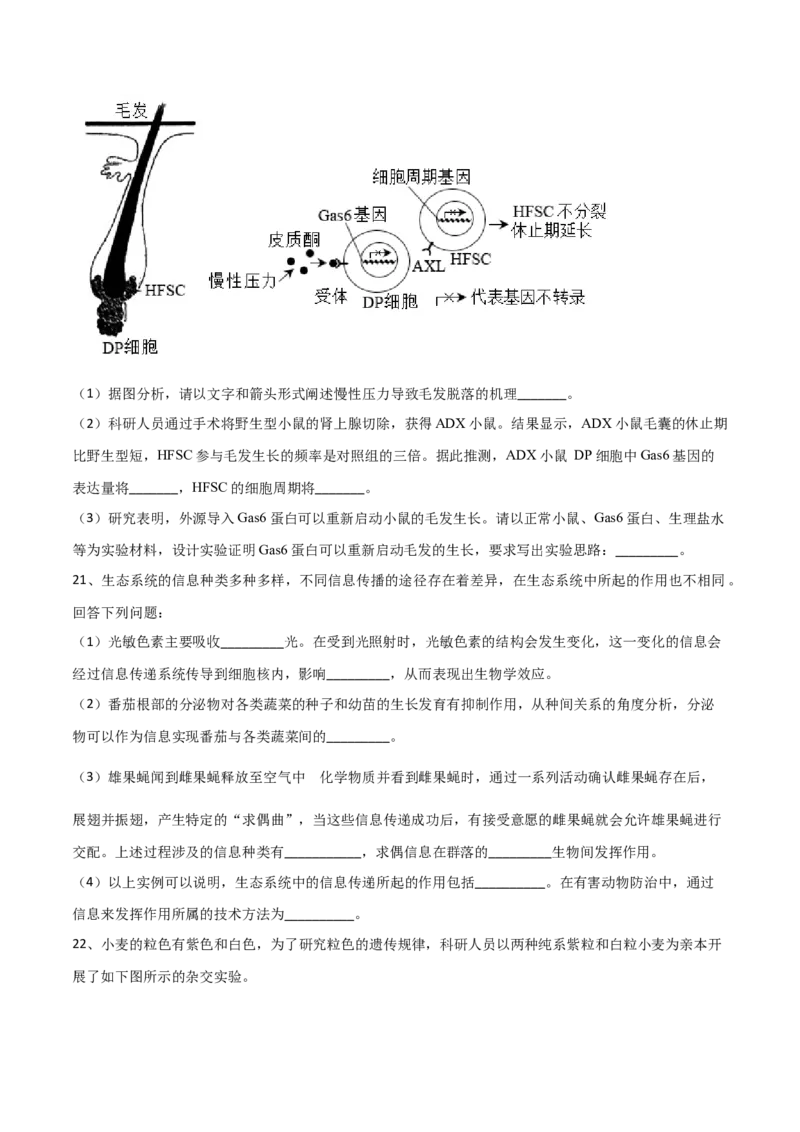 黄金卷07（考试版）-赢在高考&middot;黄金8卷备战2024年高考生物模拟卷（河北专用）_2024年新高考资料_4.2024高考模拟预测试卷