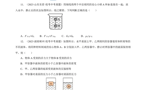 专题10浮力（真题训练）-物理中考一轮复习精品资料（原卷版）_8、物理总复习_2024年中考复习资料_一轮复习_更新2024年中考物理一轮复习精品资料_配套练习