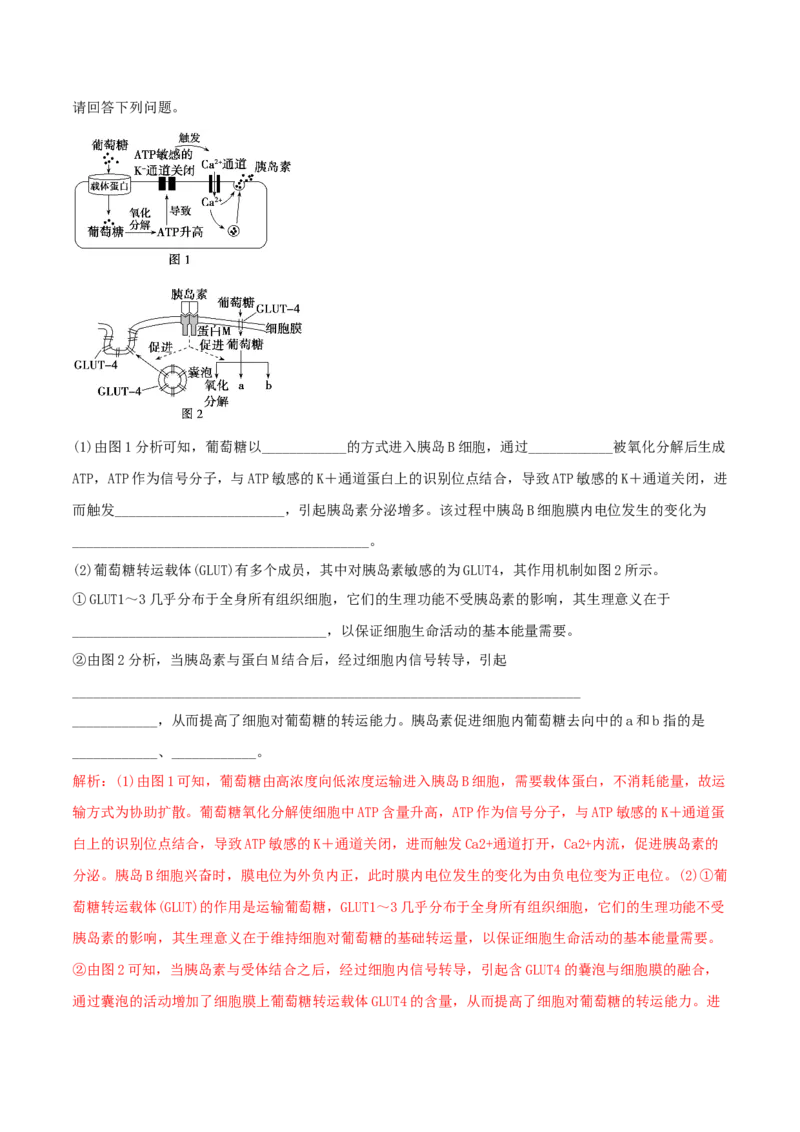 专题09稳态与调节分析（解析版）_2025年新高考资料_二轮复习_2025年高考生物二轮热点题型归纳与变式演练（新高考通用）3404350_专题09稳态与调节分析