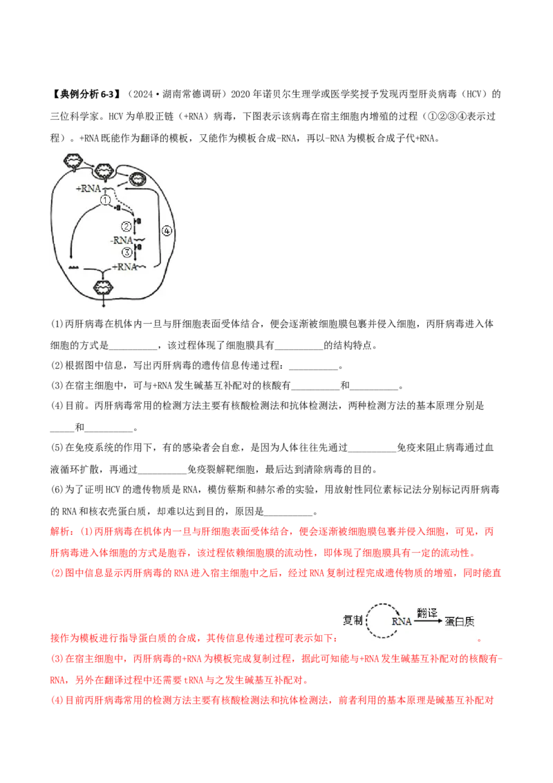 专题09稳态与调节分析（解析版）_2025年新高考资料_二轮复习_2025年高考生物二轮热点题型归纳与变式演练（新高考通用）3404350_专题09稳态与调节分析