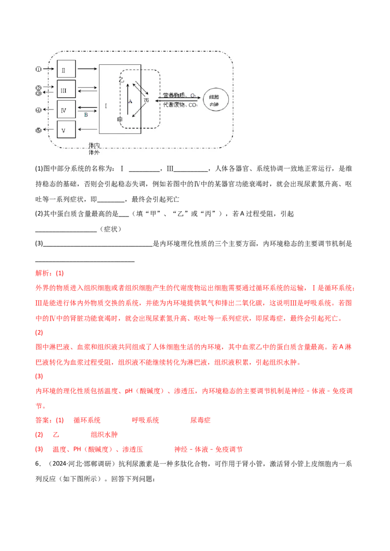 专题09稳态与调节分析（解析版）_2025年新高考资料_二轮复习_2025年高考生物二轮热点题型归纳与变式演练（新高考通用）3404350_专题09稳态与调节分析