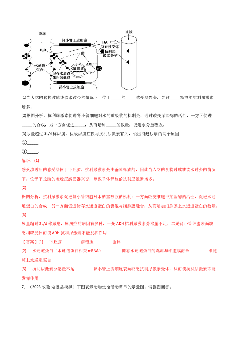 专题09稳态与调节分析（解析版）_2025年新高考资料_二轮复习_2025年高考生物二轮热点题型归纳与变式演练（新高考通用）3404350_专题09稳态与调节分析