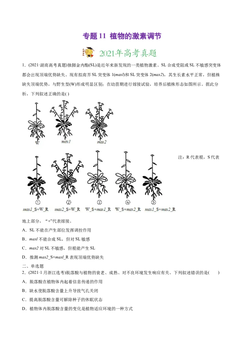 专题11植物的激素调节-2021年高考生物真题与模拟题分类训练（学生版）_新高考复习资料_2023年新高考复习资料_一轮复习_2023年新高考大一轮复习讲义