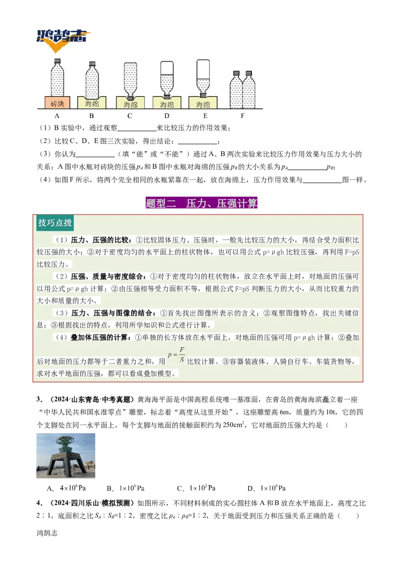 专题10压强（讲义）（原卷版）_8、物理总复习_《2025年中考复习讲义》物理