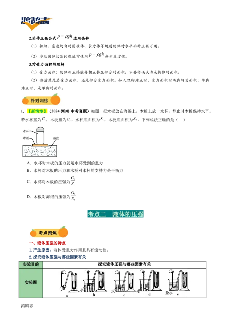 专题10压强（讲义）（原卷版）_8、物理总复习_《2025年中考复习讲义》物理