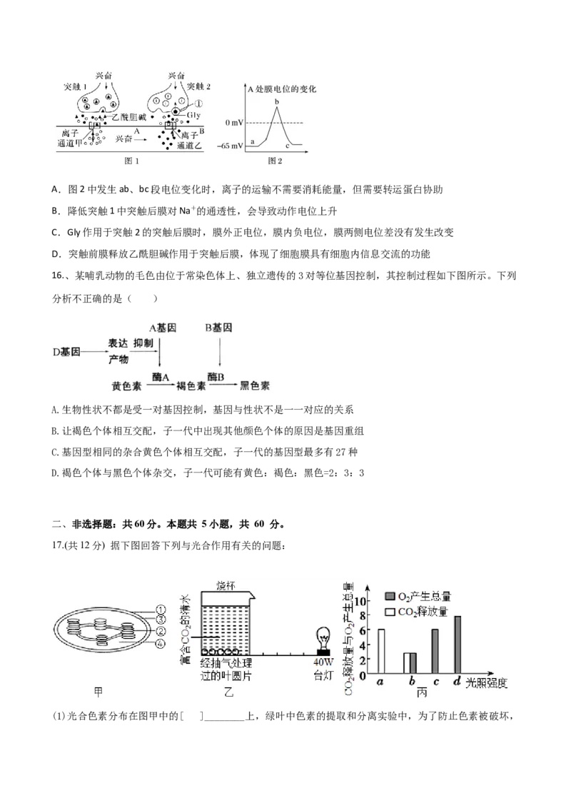 黄金卷03（考试版）-赢在高考&middot;黄金8卷备战2024年高考生物模拟卷（广东专用）_2024年新高考资料_4.2024高考模拟预测试卷