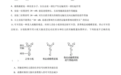 黄金卷03（考试版）-赢在高考&middot;黄金8卷备战2024年高考生物模拟卷（广东专用）_2024年新高考资料_4.2024高考模拟预测试卷