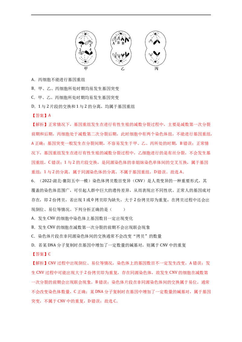 专题10生物的变异和进化（测试卷）-2023年高考生物二轮复习讲练测（全国通用）（解析版）_通用版（老高考）复习资料_2023年复习资料_二轮复习