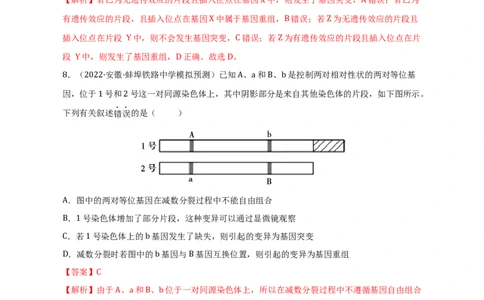 专题10生物的变异和进化（测试卷）-2023年高考生物二轮复习讲练测（全国通用）（解析版）_通用版（老高考）复习资料_2023年复习资料_二轮复习