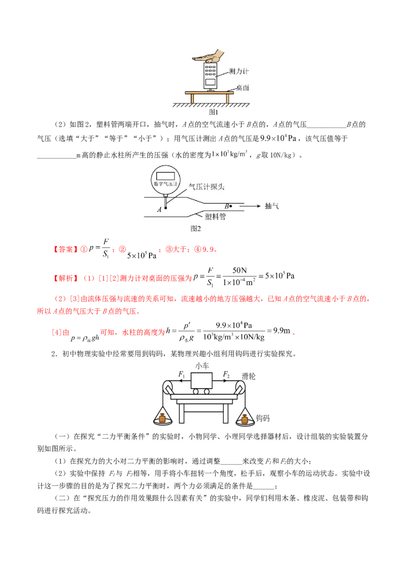 专题10压强（8题型）（练习）（解析版）_8、物理总复习_8.中考物理总复习_2024年中考复习资料_一轮复习资料_完2024年中考物理一轮复习课件+讲义+练习（全国通用）