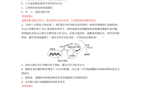 专题13细胞的分化、衰老和死亡（精练）（解析版）_新高考复习资料_2024年新高考复习资料_一轮复习资料_完备战2024年高考生物一轮复习串讲精练（新高考专用）_精练_解析版