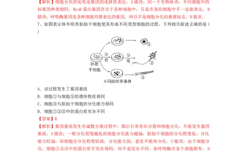 专题13细胞的分化、衰老和死亡（精练）（解析版）_新高考复习资料_2024年新高考复习资料_一轮复习资料_完备战2024年高考生物一轮复习串讲精练（新高考专用）_精练_解析版