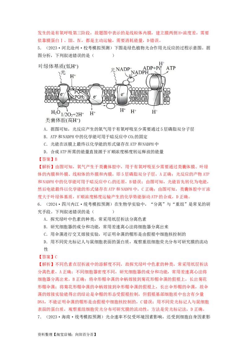 专题09光合作用和呼吸作用（解析版）_通用版（老高考）复习资料_2024年复习资料_完备战2024年高考生物一轮复习抢分特训（全国通用）_教师版（含答案解析）