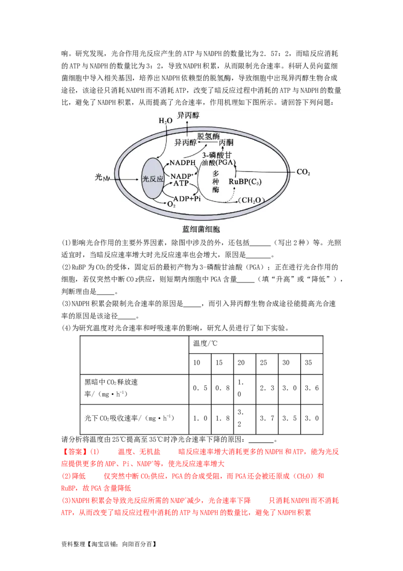 专题09光合作用和呼吸作用（解析版）_通用版（老高考）复习资料_2024年复习资料_完备战2024年高考生物一轮复习抢分特训（全国通用）_教师版（含答案解析）