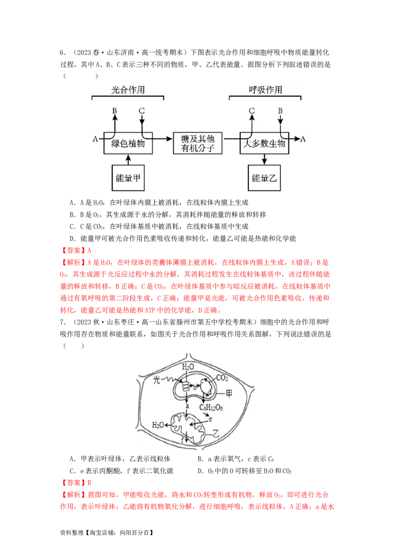 专题09光合作用和呼吸作用（解析版）_通用版（老高考）复习资料_2024年复习资料_完备战2024年高考生物一轮复习抢分特训（全国通用）_教师版（含答案解析）