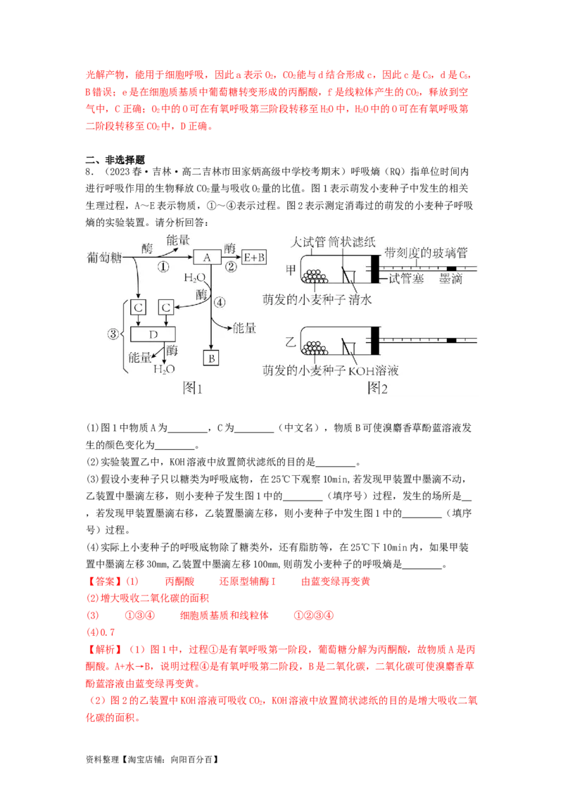 专题09光合作用和呼吸作用（解析版）_通用版（老高考）复习资料_2024年复习资料_完备战2024年高考生物一轮复习抢分特训（全国通用）_教师版（含答案解析）