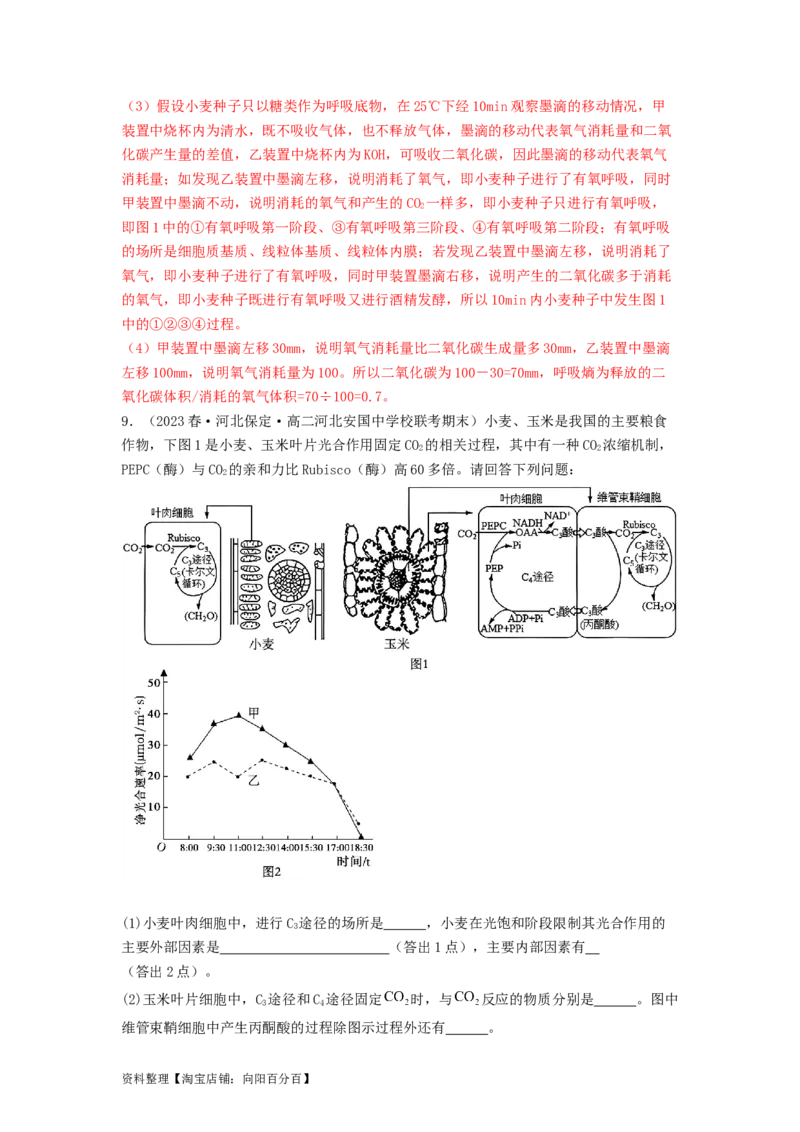 专题09光合作用和呼吸作用（解析版）_通用版（老高考）复习资料_2024年复习资料_完备战2024年高考生物一轮复习抢分特训（全国通用）_教师版（含答案解析）