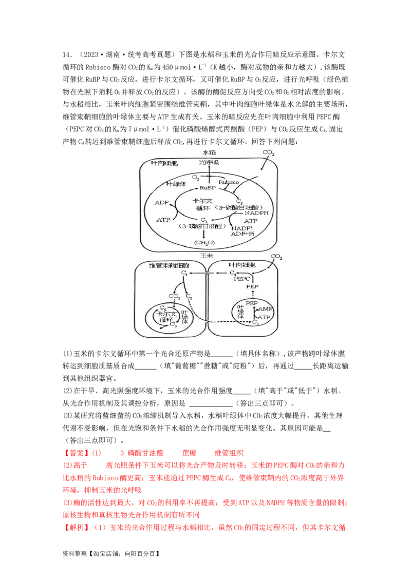 专题09光合作用和呼吸作用（解析版）_通用版（老高考）复习资料_2024年复习资料_完备战2024年高考生物一轮复习抢分特训（全国通用）_教师版（含答案解析）