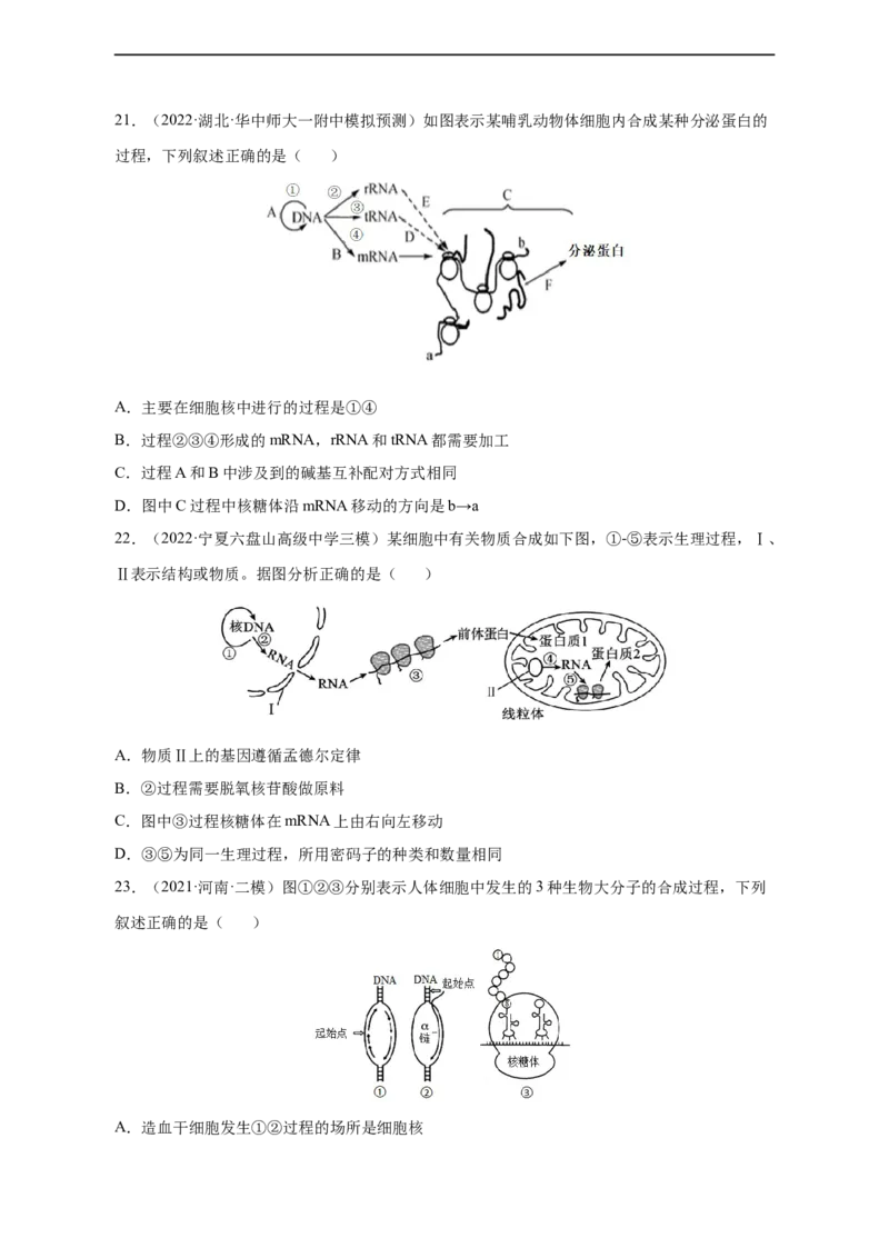 专题09遗传的分子基础（测试卷）-2023年高考生物二轮复习讲练测（全国通用）（原卷版）_通用版（老高考）复习资料_2023年复习资料_二轮复习_2023年高考生物二轮复习讲练测（全国通用）