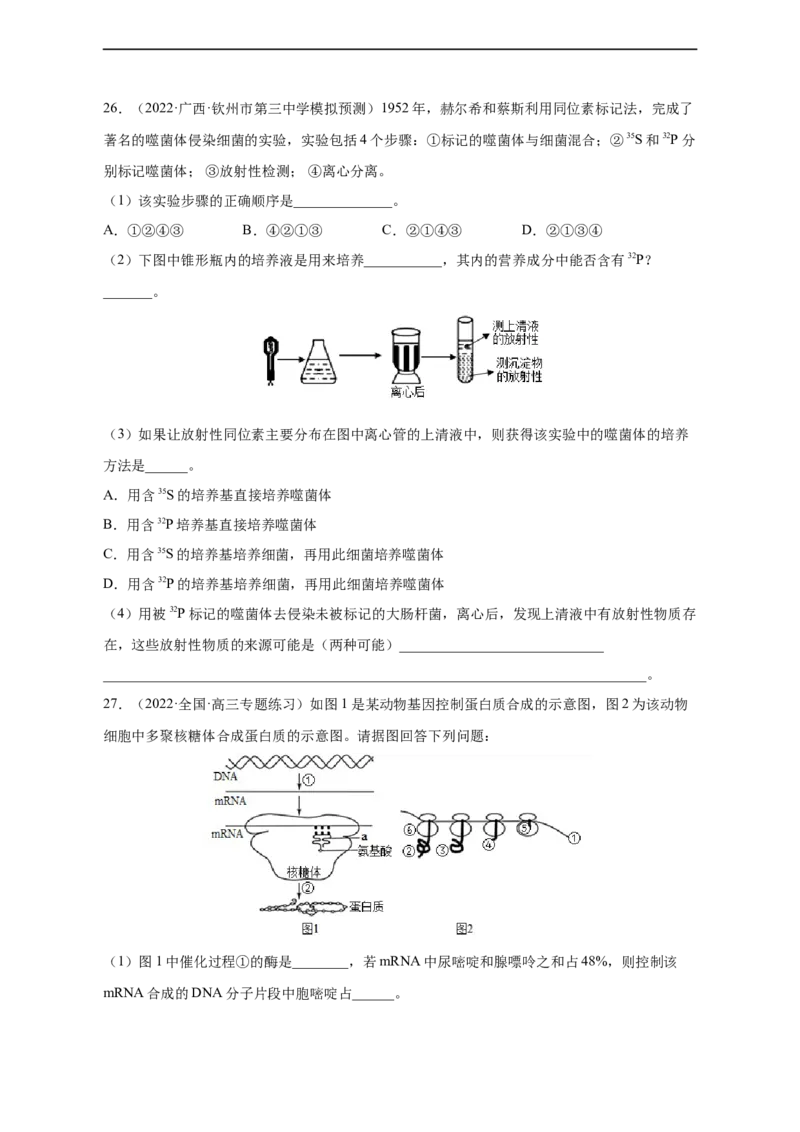 专题09遗传的分子基础（测试卷）-2023年高考生物二轮复习讲练测（全国通用）（原卷版）_通用版（老高考）复习资料_2023年复习资料_二轮复习_2023年高考生物二轮复习讲练测（全国通用）