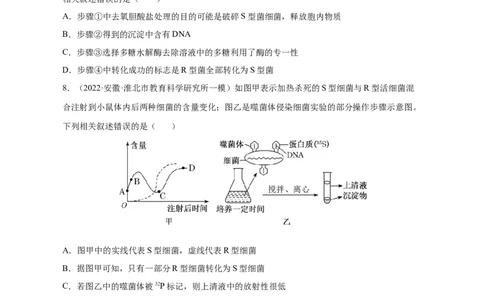 专题09遗传的分子基础（测试卷）-2023年高考生物二轮复习讲练测（全国通用）（原卷版）_通用版（老高考）复习资料_2023年复习资料_二轮复习_2023年高考生物二轮复习讲练测（全国通用）