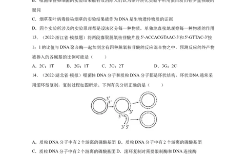 专题09遗传的分子基础（测试卷）-2023年高考生物二轮复习讲练测（全国通用）（原卷版）_通用版（老高考）复习资料_2023年复习资料_二轮复习_2023年高考生物二轮复习讲练测（全国通用）