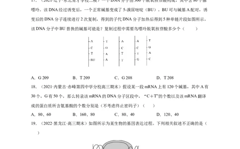 专题09遗传的分子基础（测试卷）-2023年高考生物二轮复习讲练测（全国通用）（原卷版）_通用版（老高考）复习资料_2023年复习资料_二轮复习_2023年高考生物二轮复习讲练测（全国通用）