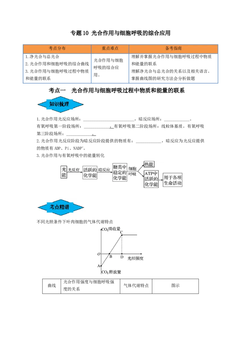 专题10光合作用与细胞呼吸的综合应用（串讲）（原卷版）_新高考复习资料_2024年新高考复习资料_一轮复习资料_完备战2024年高考生物一轮复习串讲精练（新高考专用）_串讲