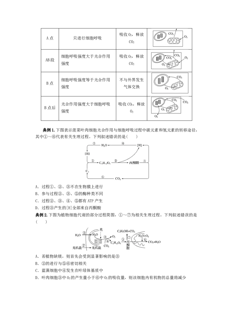 专题10光合作用与细胞呼吸的综合应用（串讲）（原卷版）_新高考复习资料_2024年新高考复习资料_一轮复习资料_完备战2024年高考生物一轮复习串讲精练（新高考专用）_串讲