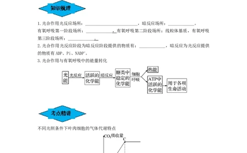 专题10光合作用与细胞呼吸的综合应用（串讲）（原卷版）_新高考复习资料_2024年新高考复习资料_一轮复习资料_完备战2024年高考生物一轮复习串讲精练（新高考专用）_串讲
