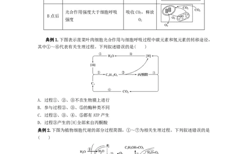 专题10光合作用与细胞呼吸的综合应用（串讲）（原卷版）_新高考复习资料_2024年新高考复习资料_一轮复习资料_完备战2024年高考生物一轮复习串讲精练（新高考专用）_串讲