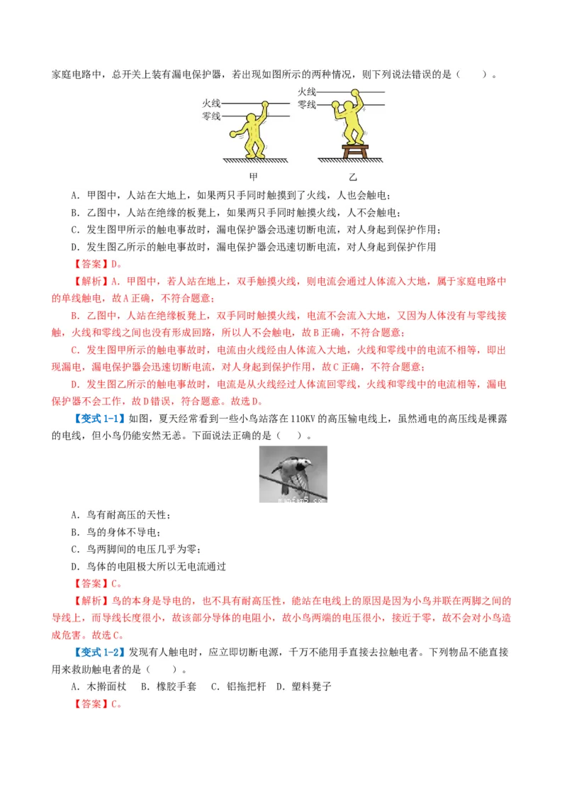 专题19生活用电（3考点+6考向）（讲义）（解析版）_8、物理总复习_8.中考物理总复习_2024年中考复习资料_一轮复习资料_完2024年中考物理一轮复习课件+讲义+练习（全国通用）