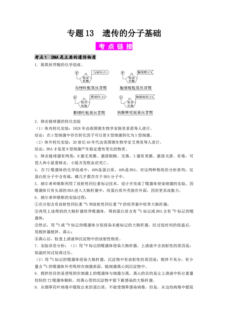 专题13遗传的分子基础（原卷版）_通用版（老高考）复习资料_2024年复习资料_完备战2024年高考生物一轮复习抢分特训（全国通用）
