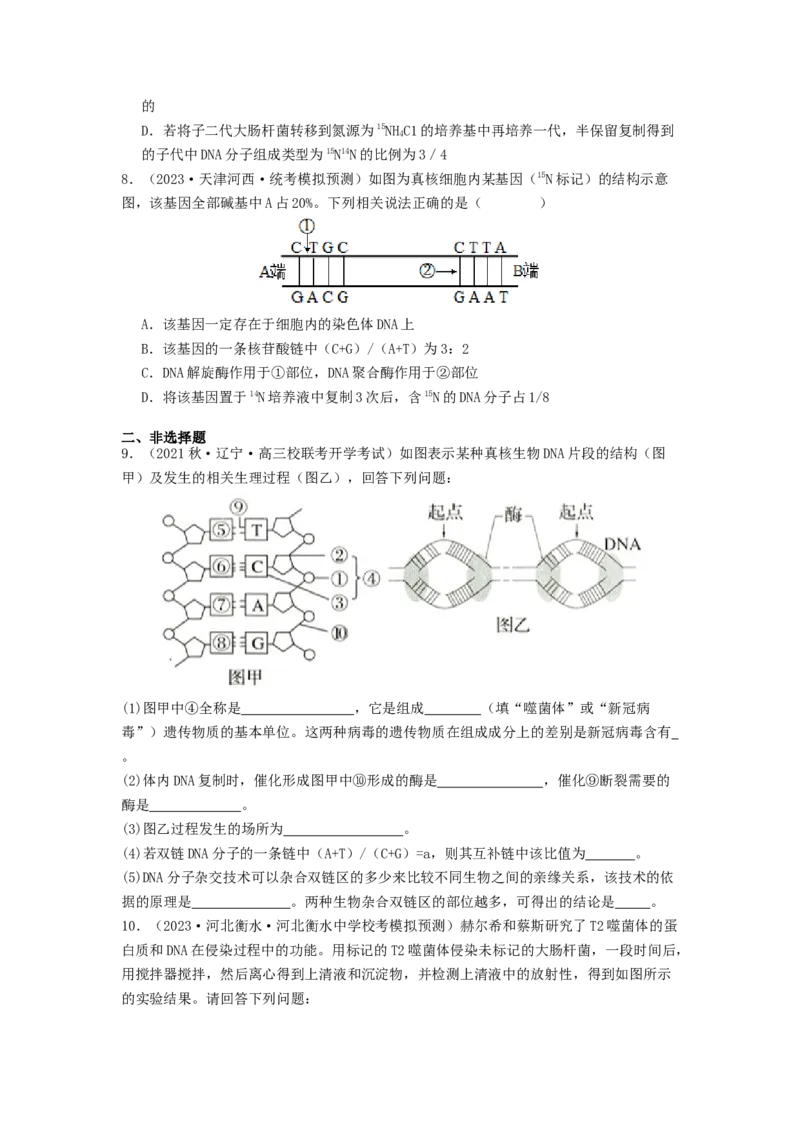 专题13遗传的分子基础（原卷版）_通用版（老高考）复习资料_2024年复习资料_完备战2024年高考生物一轮复习抢分特训（全国通用）