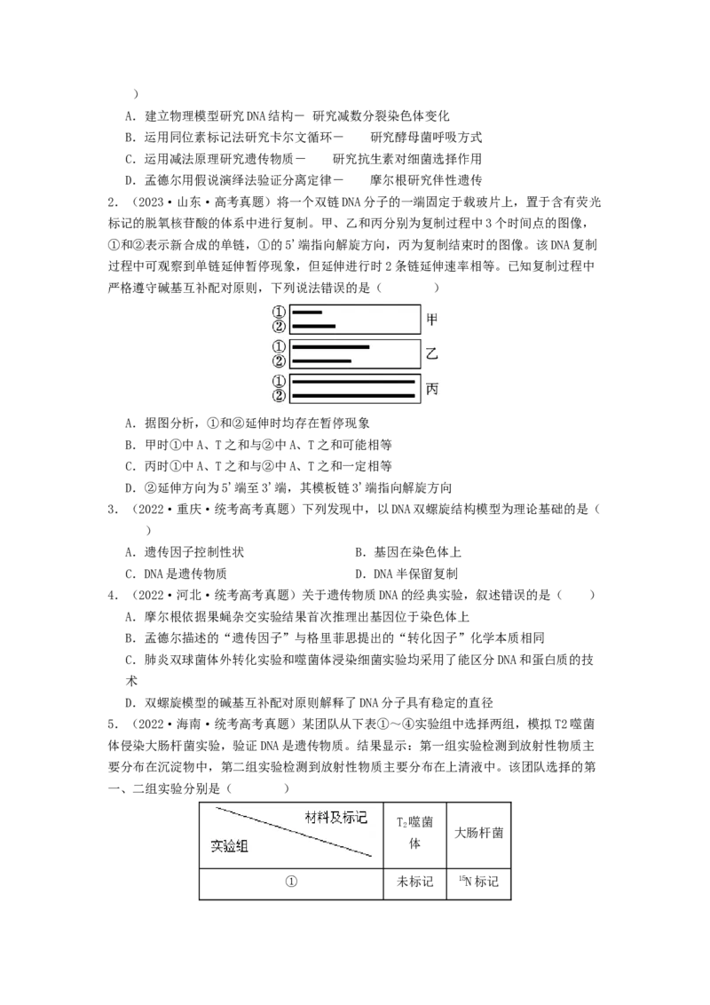专题13遗传的分子基础（原卷版）_通用版（老高考）复习资料_2024年复习资料_完备战2024年高考生物一轮复习抢分特训（全国通用）